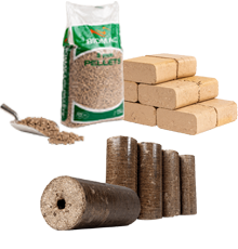 Proč jsme LES a jak jsme tady pro vás?